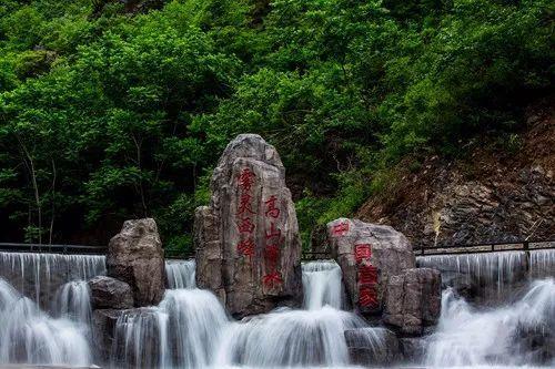 探索请问莲子是什么东西?,发现知识星球的无限魅力!